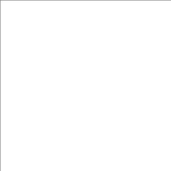 LCP Placeholder